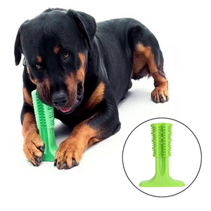 JUGUETE DE LIMPIEZA DENTAL PARA PERRO